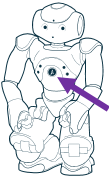 ../_images/chest_button.png