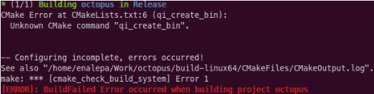 ../../_images/cpp_dummies_qibuilderror01.png